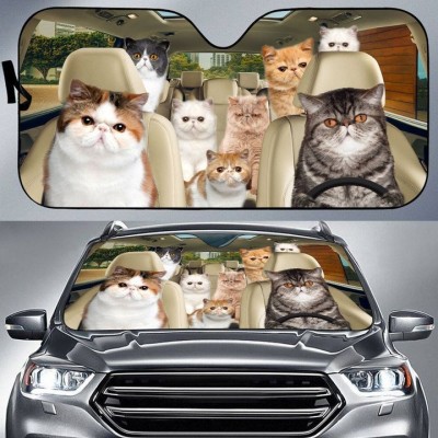 Exotic Cat All Over Printed 3D Sun Shade